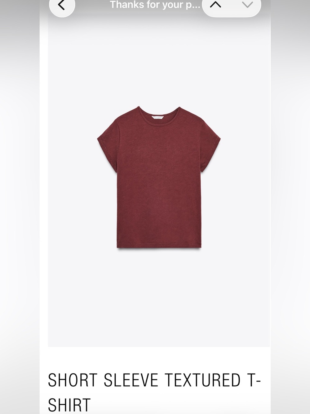 Zara Short Sleeve textured t shirt in Burgundy